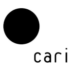 CARI | Aesthetics favicon