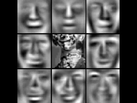 Non-Eucledian Therapy for AI Trauma