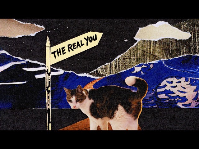 Mixed media film about my cat – 'The Real You'