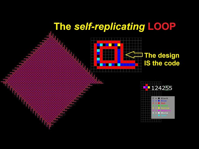 Langton's Loops: The cellular automaton that copies itself